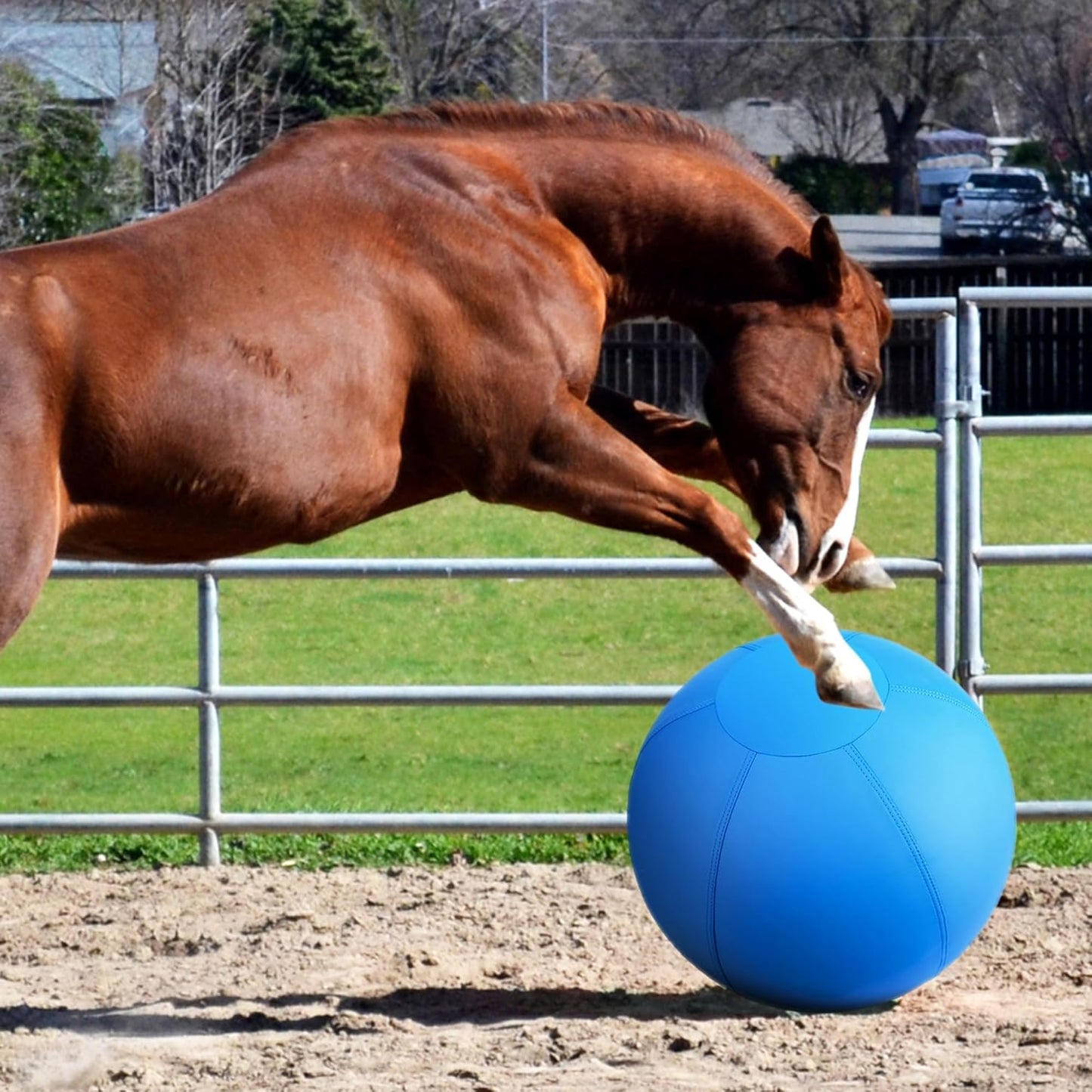 Herding Ball for Dogs and Horses - 18" Jolly Ball for Dogs, Blue Medium-Fx-20250618