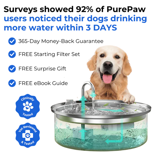 Health and Happiness Fountain Kit