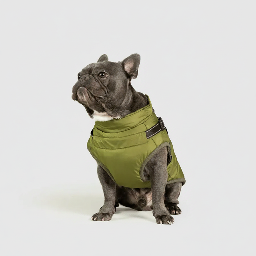 3 in 1 Winter Jacket + FREE Dog Safety Belt