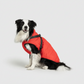 3 in 1 Winter Jacket + FREE Dog Safety Belt