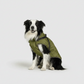 3 in 1 Winter Jacket + FREE Dog Safety Belt