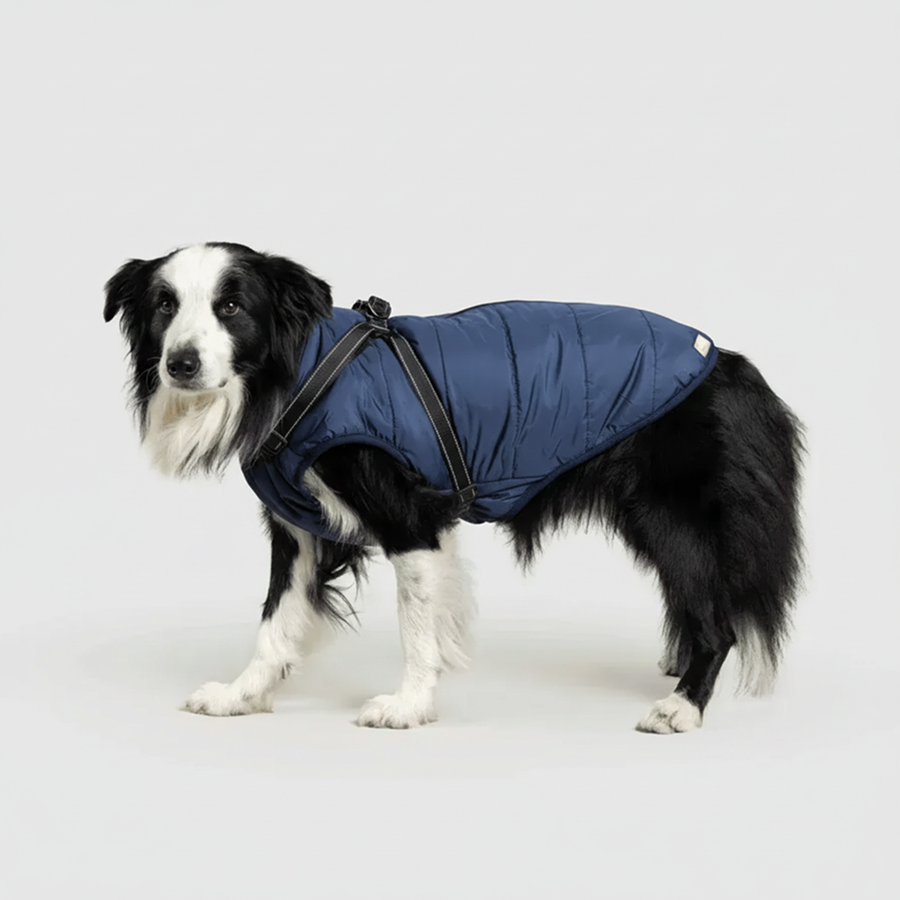 3 in 1 Winter Jacket + FREE Dog Safety Belt
