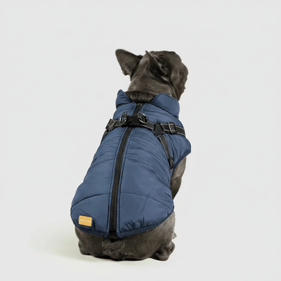 3 in 1 Winter Jacket + FREE Dog Safety Belt