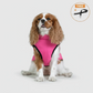 3 in 1 Winter Jacket + FREE Dog Safety Belt