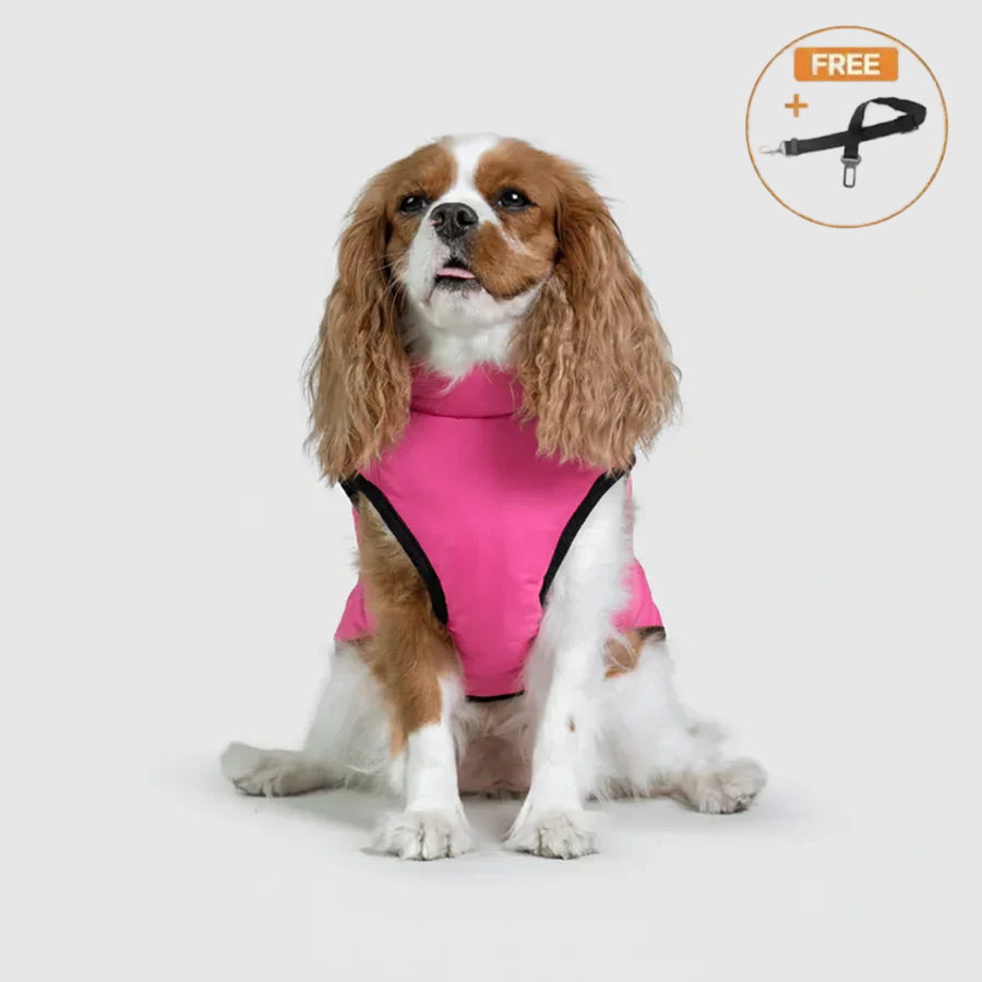 3 in 1 Winter Jacket + FREE Dog Safety Belt