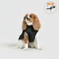3 in 1 Winter Jacket + FREE Dog Safety Belt