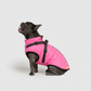 3 in 1 Winter Jacket + FREE Dog Safety Belt