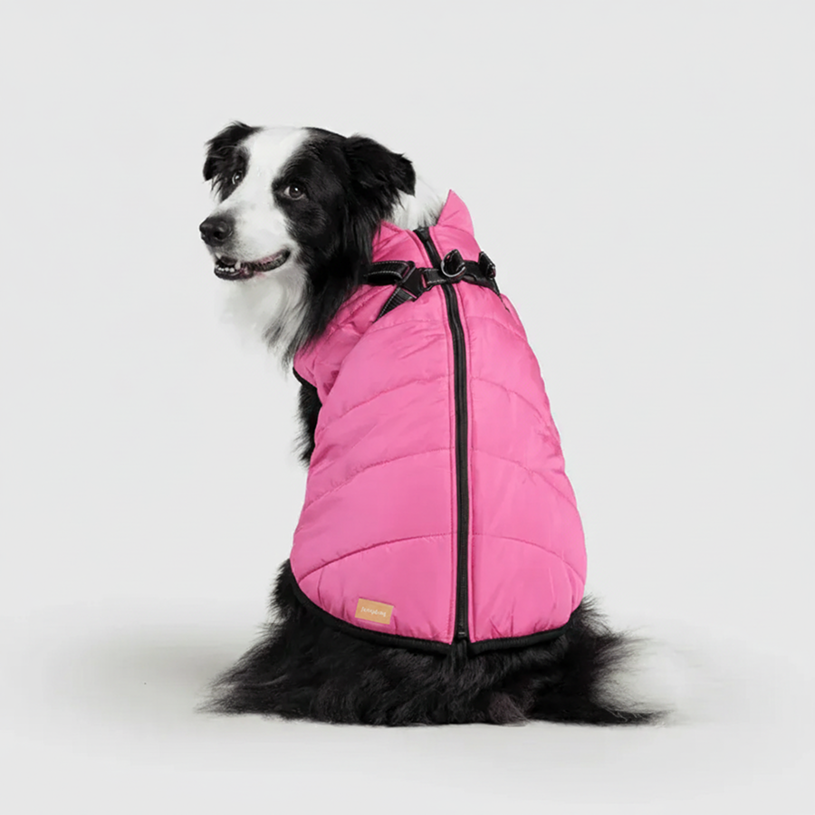 3 in 1 Winter Jacket + FREE Dog Safety Belt