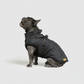 3 in 1 Winter Jacket + FREE Dog Safety Belt