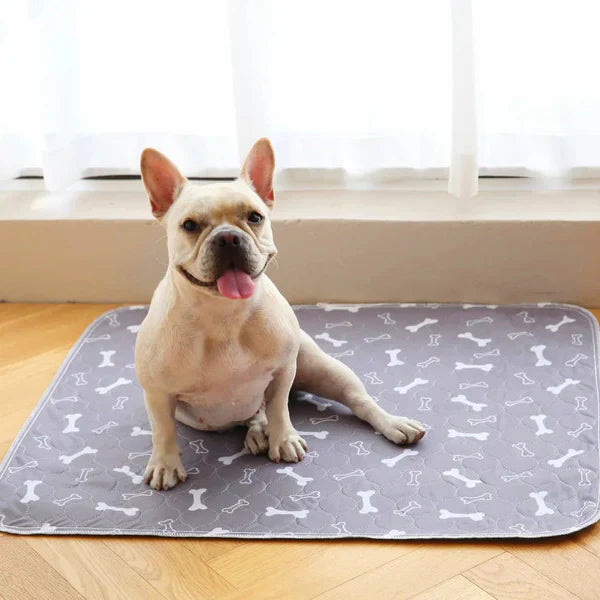 The Best Pee Pad You'll Get